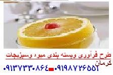 تولید و بسته بندی مواد غذایی در استان کرمان
