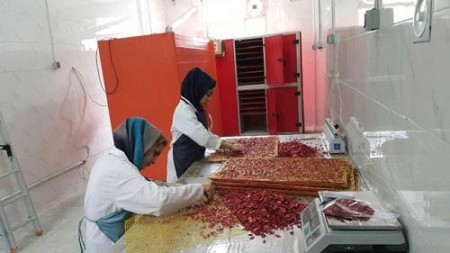 حداقل وسایل لازم برای ایجاد یك كارگاه كوچك  تولید محصولات خشك