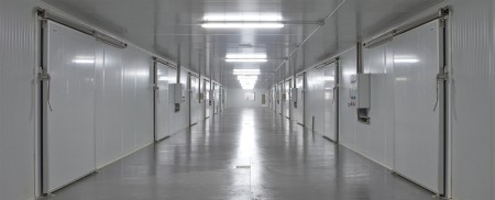 Fruit Cold Storage Construction