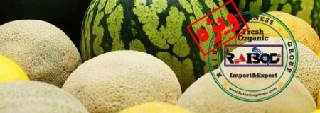 فروش ویژه هندوانه و خربزه