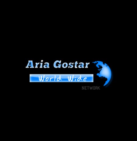 Company Information Technology آریاگستر