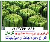 بسته بندی مواد غذایی در استان کرمان