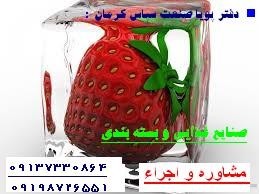 Packaged food in Kerman province