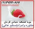 الأغذیة المعلبة فی محافظة کرمان