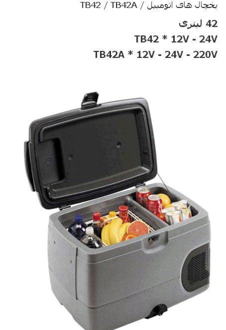 یخچال خودرو