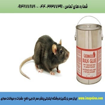 فروش سم خارجی برای hز بین انواع حیوانات وحشرات موذی.