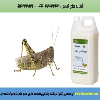 فروش قوی ترین سم برای از بین بردن حشرات موذی