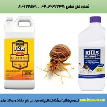 فروش قوی ترین سم برای از بین بردن حشرات موذی