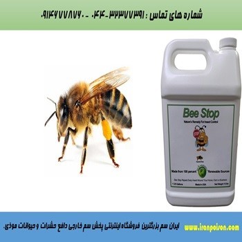 Sell Poison for external hز, a variety of animals وحشرات insidious.