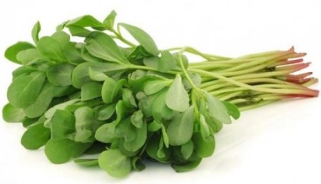 The sale of leaves and seeds of portulaca oleracea