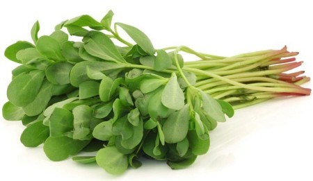 فروش عمده برگ خشک یا تازه خرفه