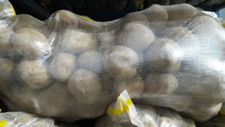 A variety of potatoes for export and industrial