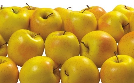 The sale of concentrate and puree, Apple, quality, export
