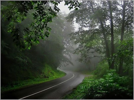 تور ویژه یک روزه نمک آبرود