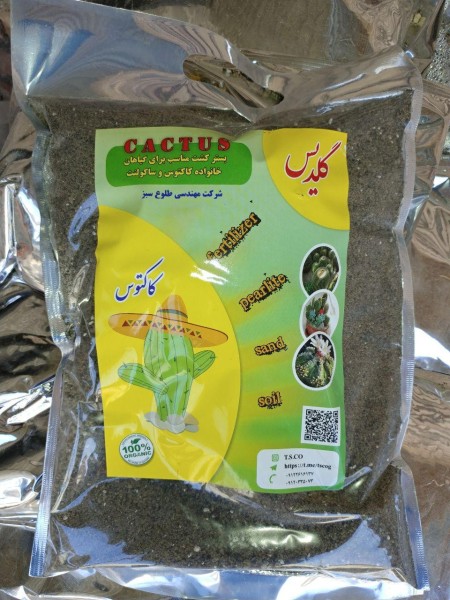 Dirt, leaves گلدیس