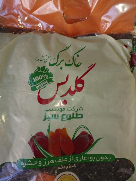 Dirt, leaves گلدیس