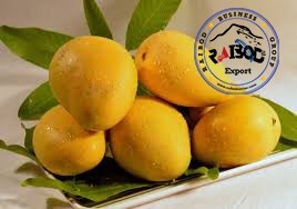 Transit and customs clearance, banana, and mango Pakistan to countries in the CIS