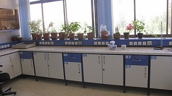 Laboratory cabinet and laboratory cabinet
