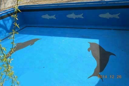 عایق رطوبتی نانوایزولکس(isolex)