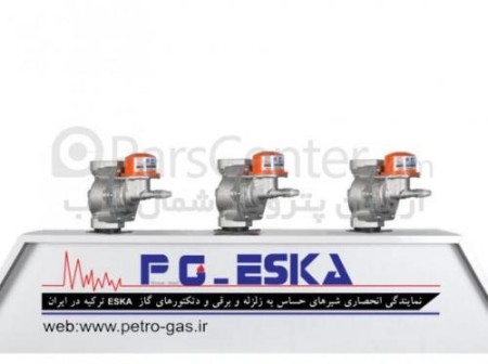 Exclusive representation of valves is sensitive to earthquake and electric SKA