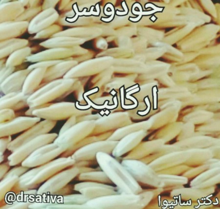 فروش جودوسر- آرد جو دوسر -  سبوس جو دوسر