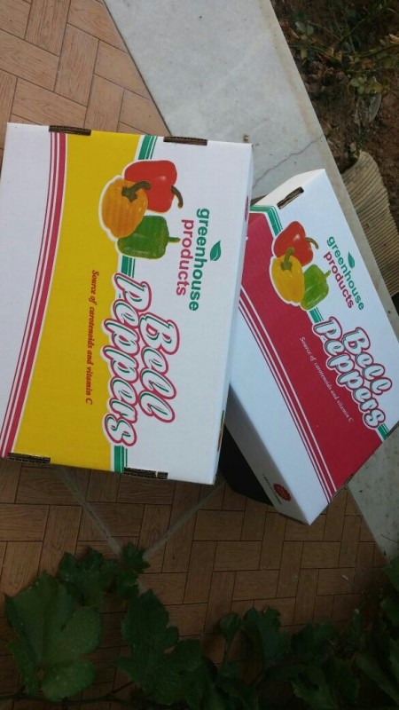 تولید انواع کارتن های سه لایه و پنج لایه