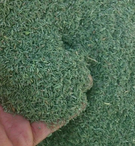 The purchase and sale of major types of thyme, dried oregano, and a garden