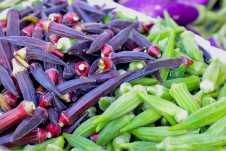 Store seed پوپونیک