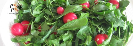 Seed, vegetable, eat