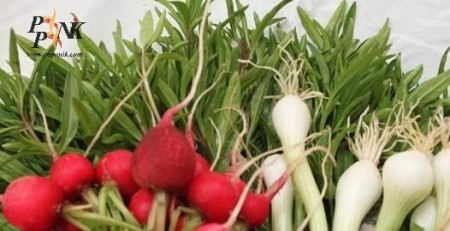 Seed, vegetable, eat