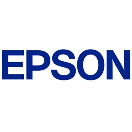 Printer repair Epson