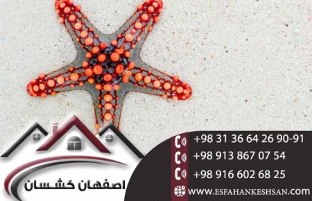 کفپوش  سه بعدی با نصب سریع و آسان در اصفهان کشسان