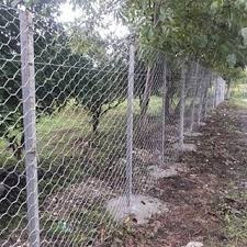 توری حصاری (فنس)