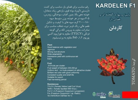 نهمین سمینار بزرگترین اشتباهات تربیتی