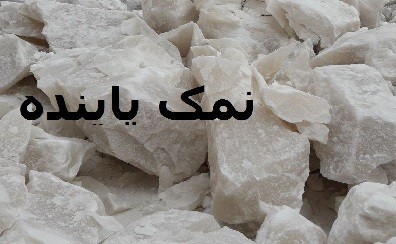 الملح الصخری المنتجات, الملح, الملح الصناعی النبات.
