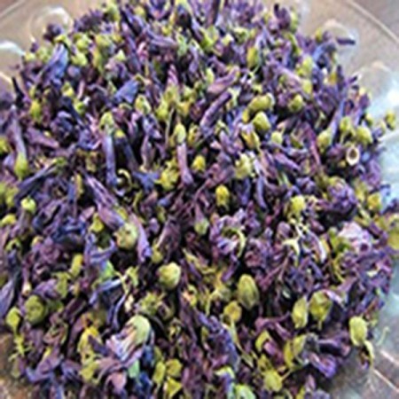 خرید و فروش عمده گیاه دارویی گل پنیرک(پایار تجارت زمردین)