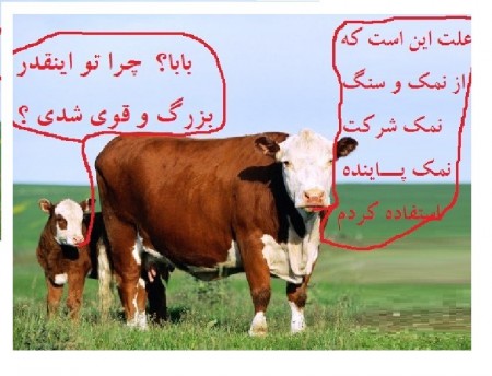 Rock salt for poultry and livestocks feed