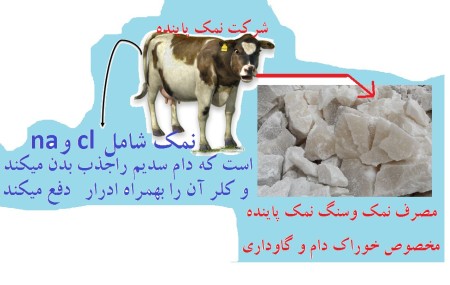 Rock salt for poultry and livestocks feed