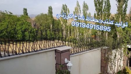 حفاظ شاخ گوزنی