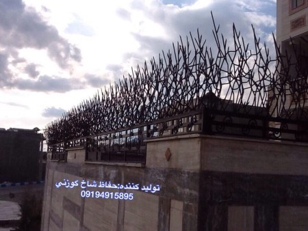 حفاظ شاخ گوزنی