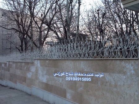 حفاظ شاخ گوزنی
