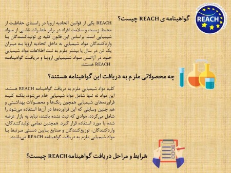 دوره آموزش بین المللی REACH