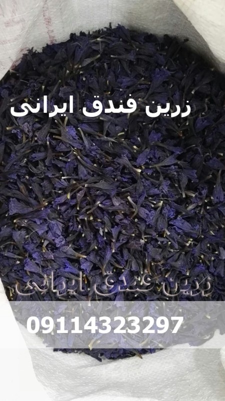 فروش بذر گل گاوزبان ایرانی