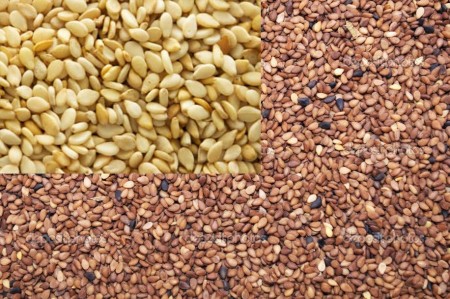 واردکننده و پخش کننده کنجد با بهترین قیمت