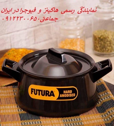 هاکینز و فیوچرا