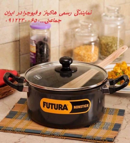 هاکینز و فیوچرا