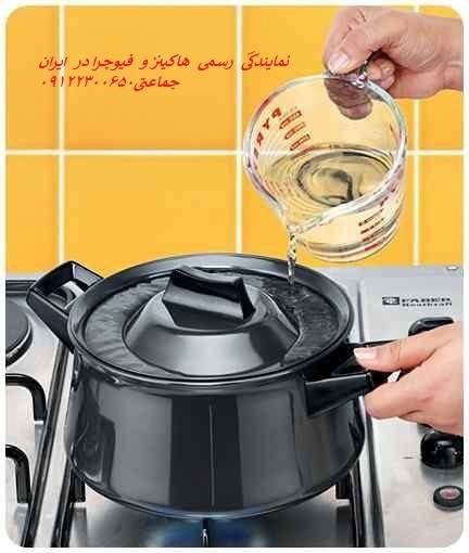 هاکینز و فیوچرا