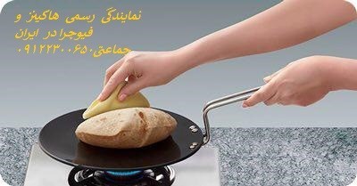 هاکینز و فیوچرا