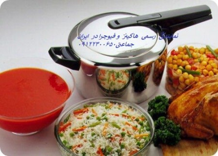 نمایندگی هاکینز و فیوچرا در ایران