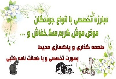 سمپاشی شبانه روزی